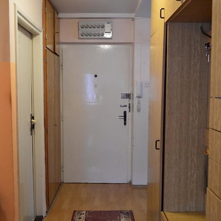בור Apartman Nikolic מראה חיצוני תמונה
